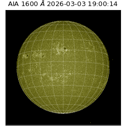saia - 2026-03-03T19:00:14.129000