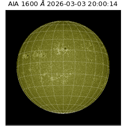 saia - 2026-03-03T20:00:14.117000