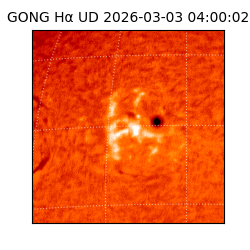 gong - 2026-03-03T04:00:02