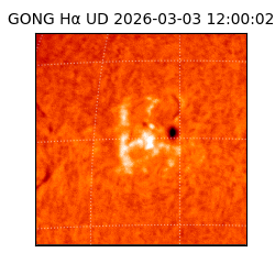 gong - 2026-03-03T12:00:02