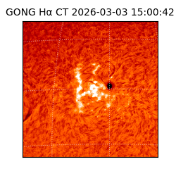 gong - 2026-03-03T15:00:42