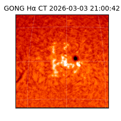 gong - 2026-03-03T21:00:42