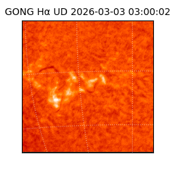 gong - 2026-03-03T03:00:02