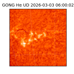 gong - 2026-03-03T06:00:02