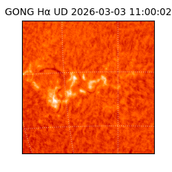 gong - 2026-03-03T11:00:02