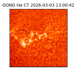 gong - 2026-03-03T13:00:42