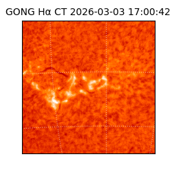 gong - 2026-03-03T17:00:42