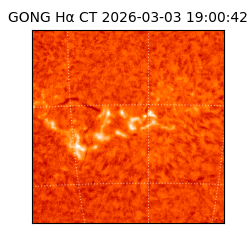 gong - 2026-03-03T19:00:42