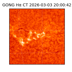 gong - 2026-03-03T20:00:42