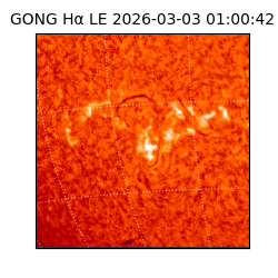 gong - 2026-03-03T01:00:42