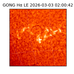 gong - 2026-03-03T02:00:42