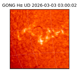 gong - 2026-03-03T03:00:02