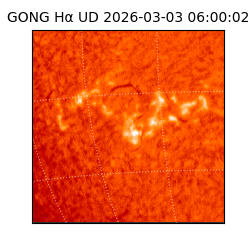 gong - 2026-03-03T06:00:02