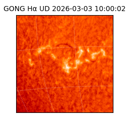 gong - 2026-03-03T10:00:02