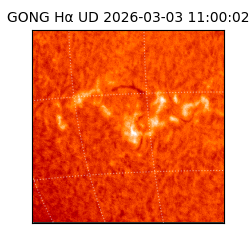 gong - 2026-03-03T11:00:02