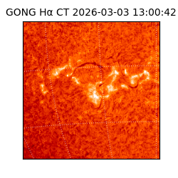 gong - 2026-03-03T13:00:42