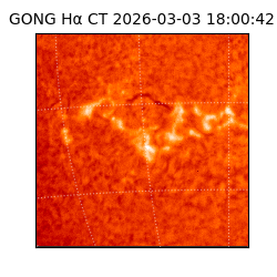 gong - 2026-03-03T18:00:42