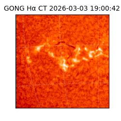 gong - 2026-03-03T19:00:42