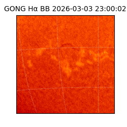 gong - 2026-03-03T23:00:02