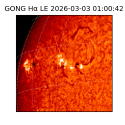 gong - 2026-03-03T01:00:42