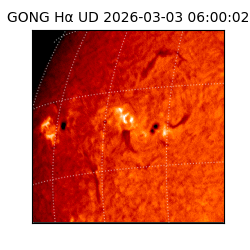 gong - 2026-03-03T06:00:02