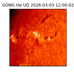 gong - 2026-03-03T12:00:02