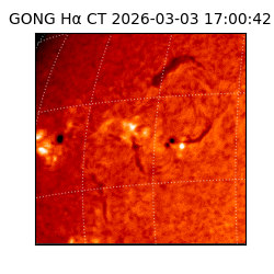 gong - 2026-03-03T17:00:42