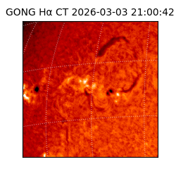 gong - 2026-03-03T21:00:42