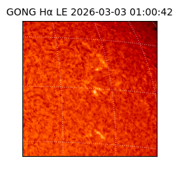 gong - 2026-03-03T01:00:42