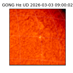 gong - 2026-03-03T09:00:02