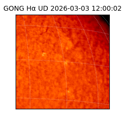gong - 2026-03-03T12:00:02