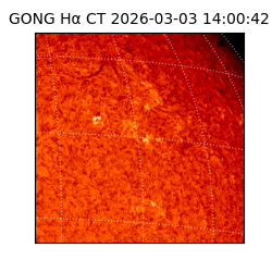 gong - 2026-03-03T14:00:42