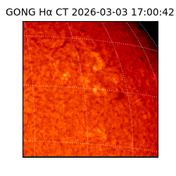gong - 2026-03-03T17:00:42