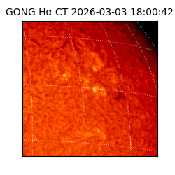 gong - 2026-03-03T18:00:42