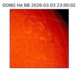 gong - 2026-03-03T23:00:02