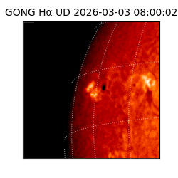 gong - 2026-03-03T08:00:02