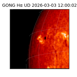 gong - 2026-03-03T12:00:02