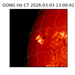 gong - 2026-03-03T13:00:42