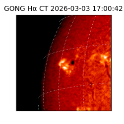 gong - 2026-03-03T17:00:42