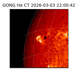 gong - 2026-03-03T22:00:42