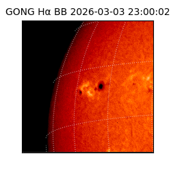 gong - 2026-03-03T23:00:02