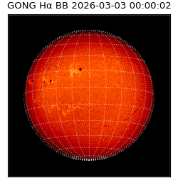 gong - 2026-03-03T00:00:02