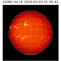 gong - 2026-03-03T01:00:42