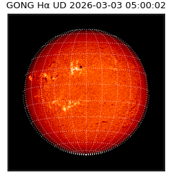 gong - 2026-03-03T05:00:02