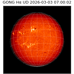 gong - 2026-03-03T07:00:02