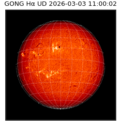 gong - 2026-03-03T11:00:02
