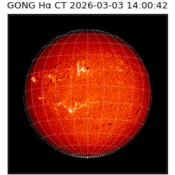 gong - 2026-03-03T14:00:42