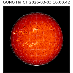 gong - 2026-03-03T16:00:42