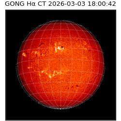 gong - 2026-03-03T18:00:42