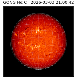 gong - 2026-03-03T21:00:42
